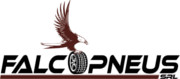 Logo of Falco Pneus S.R.L.